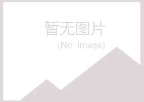 麻山区新波能源有限公司